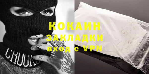сатива Каменка