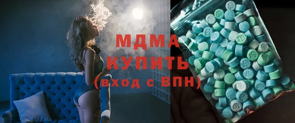 сатива Каменка