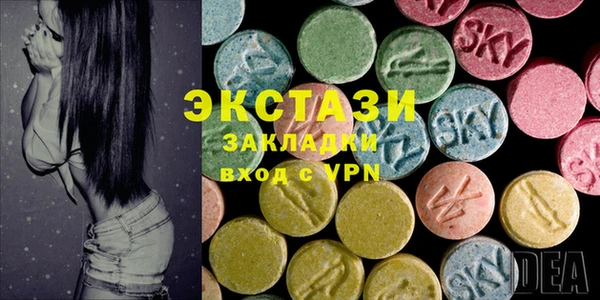 сатива Каменка