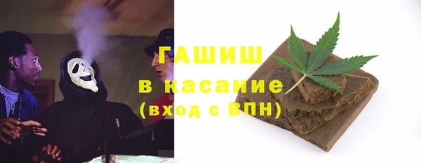 сатива Каменка