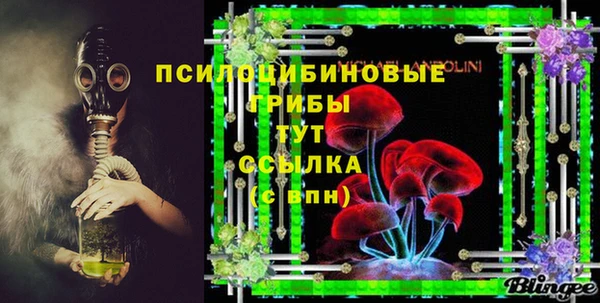 гашик Каменск-Шахтинский