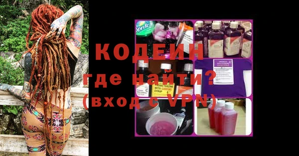 сатива Каменка