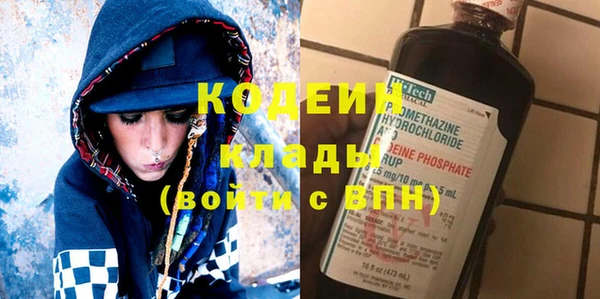 сатива Каменка