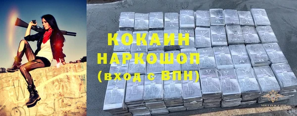сатива Каменка