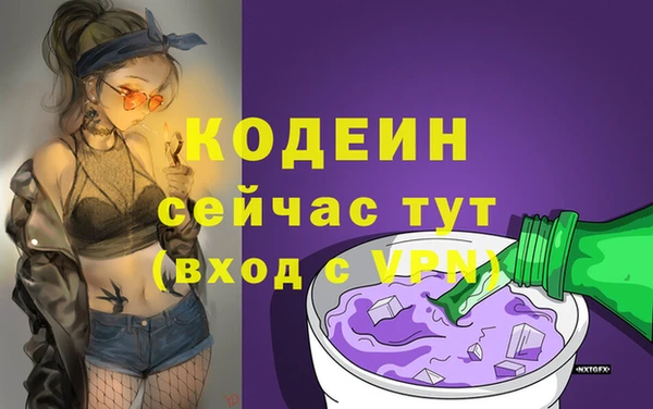 сатива Каменка