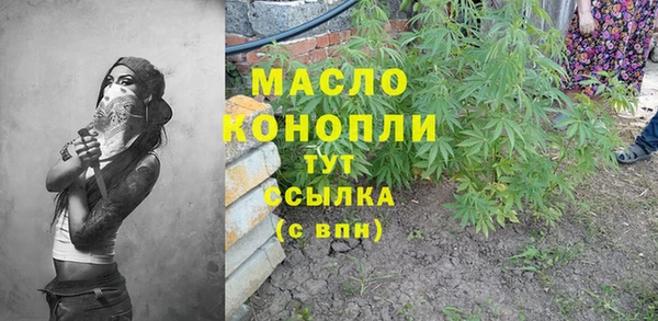 сатива Каменка