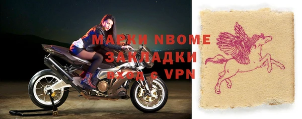 сатива Каменка