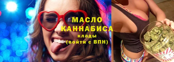 сатива Каменка