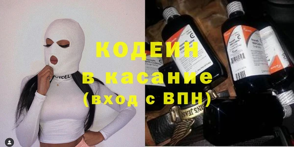 сатива Каменка