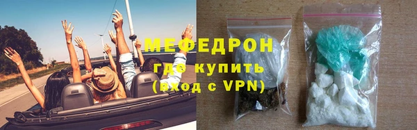 сатива Каменка
