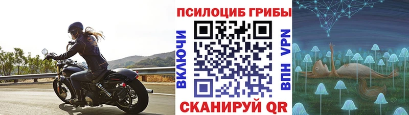 Купить где  Губаха  Псилоцибиновые грибы ЛСД 